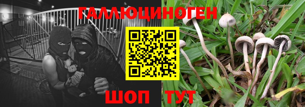 Конаково  Галлюциногенные грибы GOLDEN TEACHER  Вход с VPN 